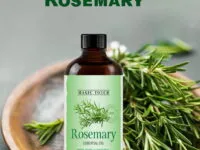 Magic Touch Rosemary Oil, placed beside fresh rosemary leaves. For Hair, Face and body massage. No Side effect for men and women